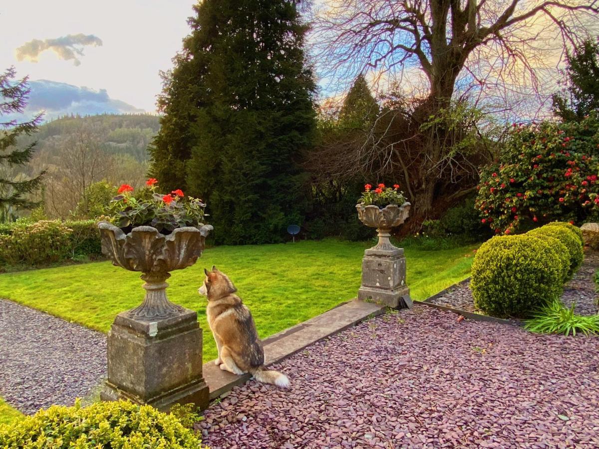 Tyn Y Fron 6 Bedroom House In Betws-Y-Coed Snowdonia Buitenkant foto