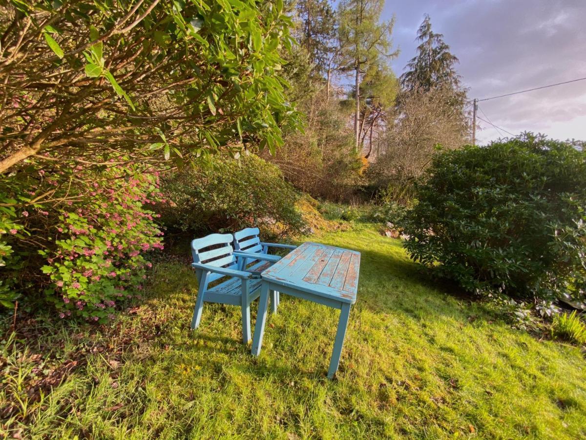 Tyn Y Fron 6 Bedroom House In Betws-Y-Coed Snowdonia Buitenkant foto