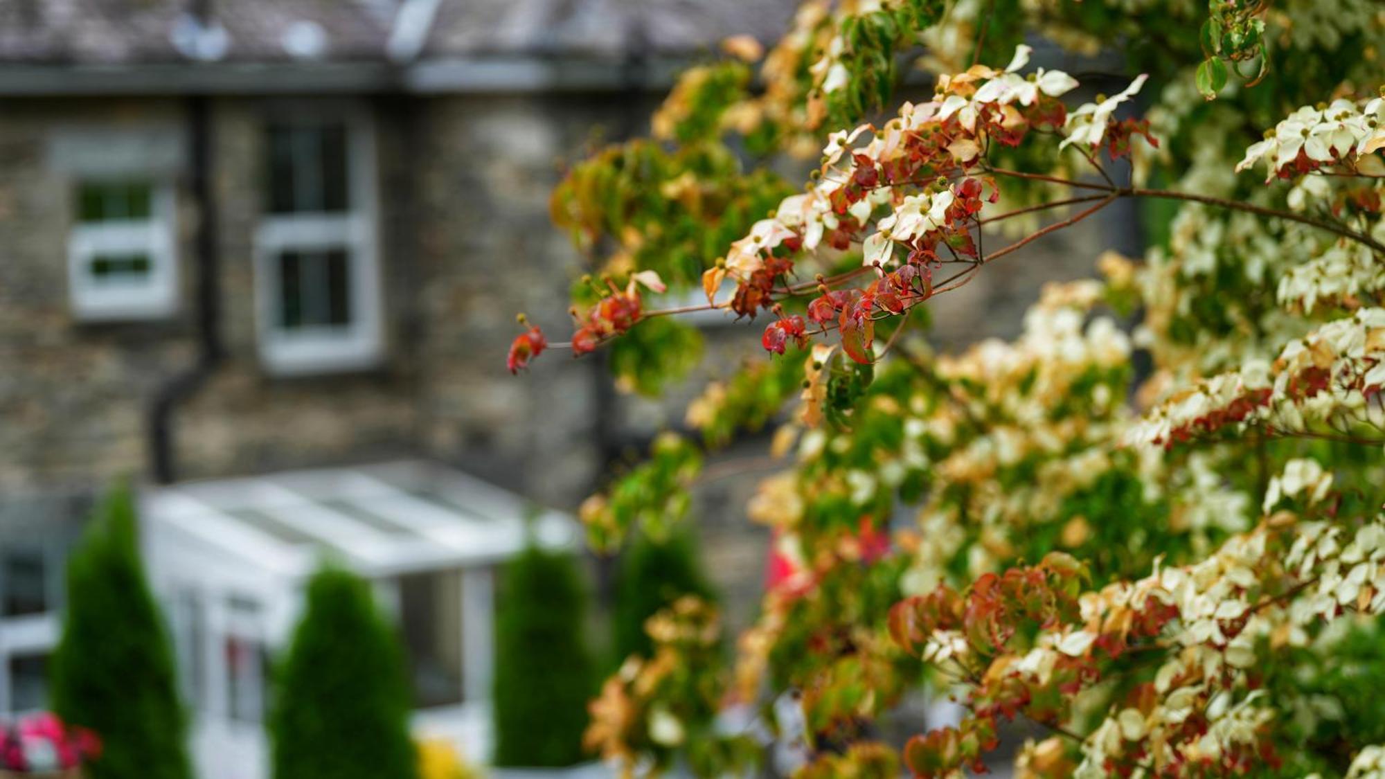 Tyn Y Fron 6 Bedroom House In Betws-Y-Coed Snowdonia Buitenkant foto