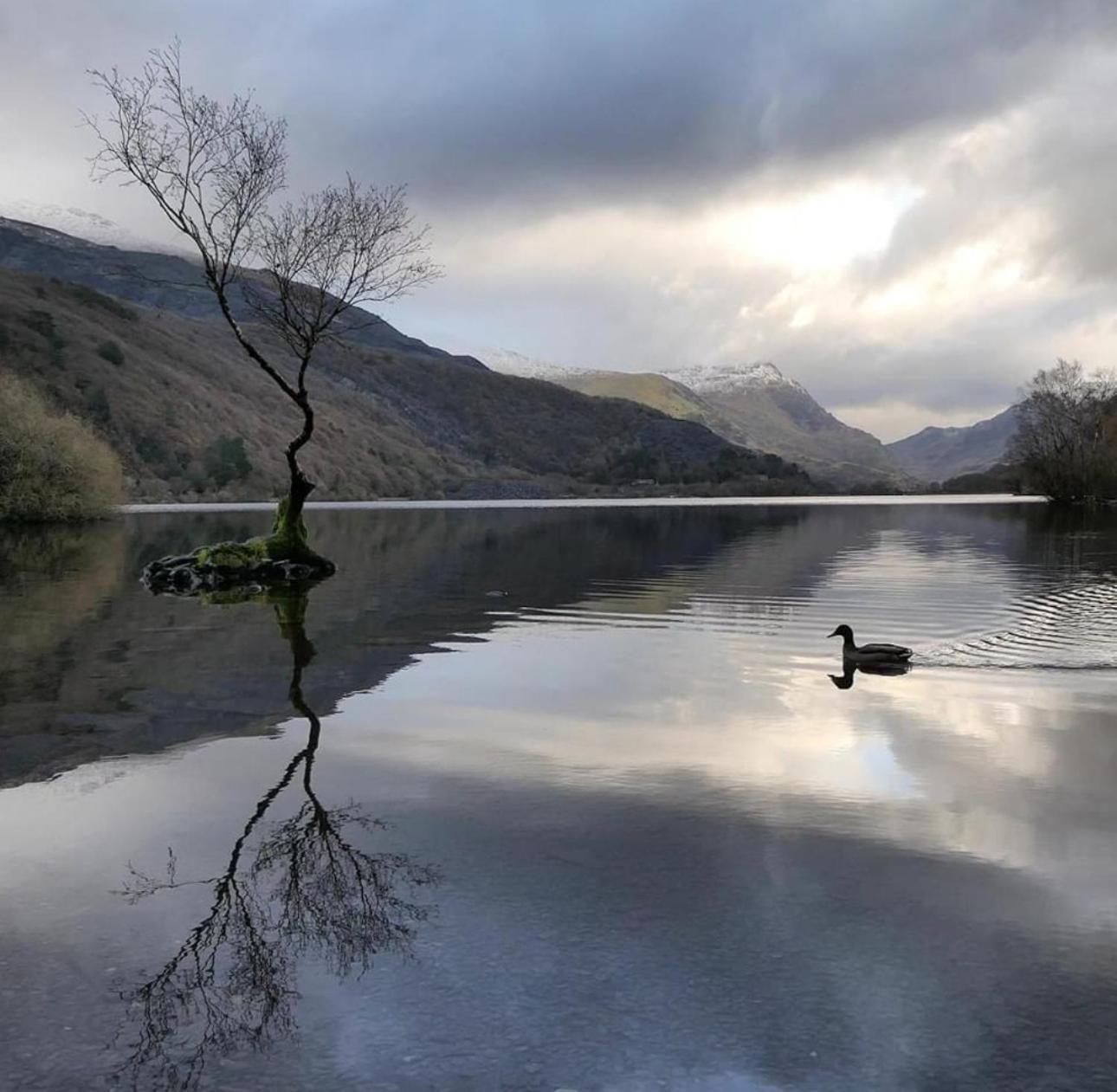 Tyn Y Fron 6 Bedroom House In Betws-Y-Coed Snowdonia Buitenkant foto